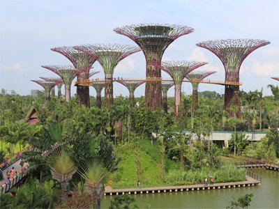 Gardens by the Bay Top 10 Best Things to do in Singapore