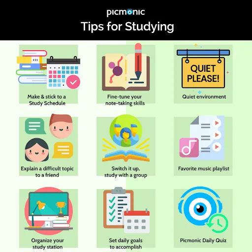 Student studying with books and notes using effective exam tips to score high marks